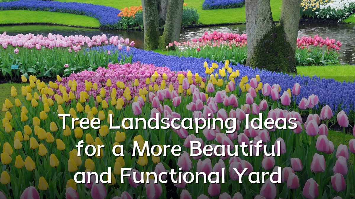 Tree Landscaping Ideas for a More Beautiful and Functional Yard