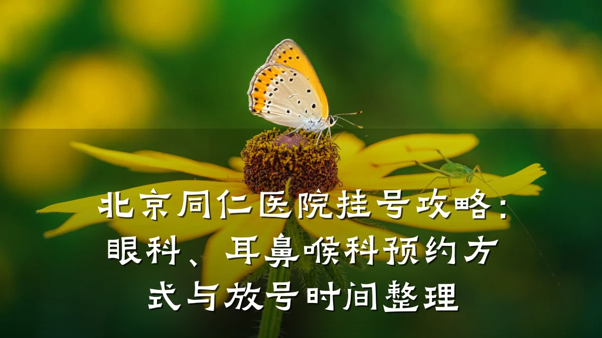 北京同仁医院挂号攻略:眼科、耳鼻喉科预约方式与放号时间整理