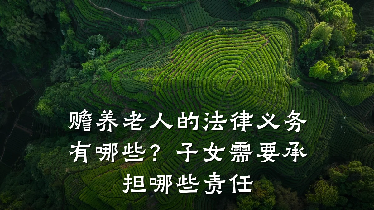 赡养老人的法律义务有哪些?子女需要承担哪些责任