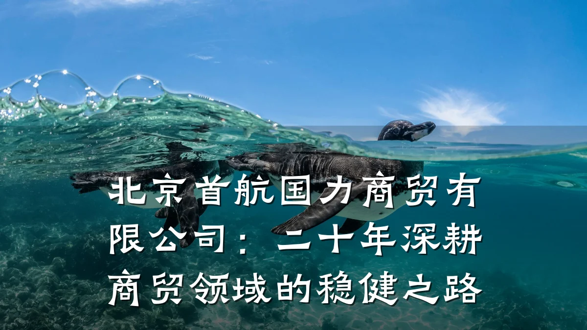 北京首航国力商贸有限公司:二十年深耕商贸领域的稳健之路
