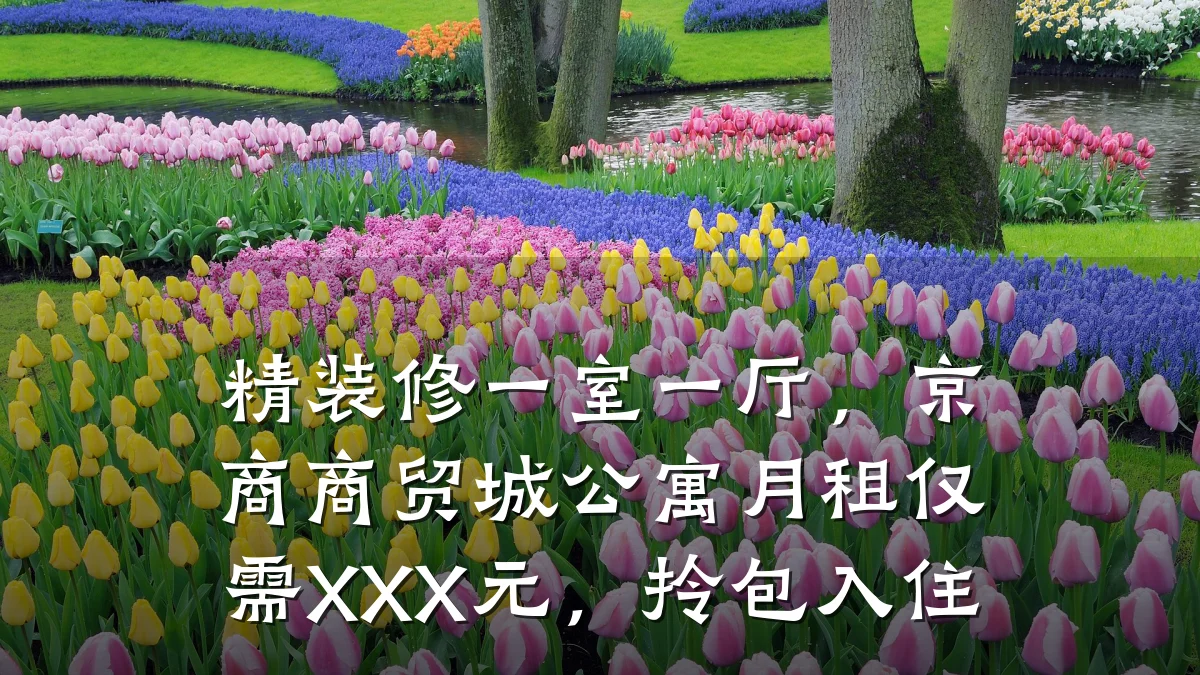 精装修一室一厅,京商商贸城公寓月租仅需XXX元,拎包入住