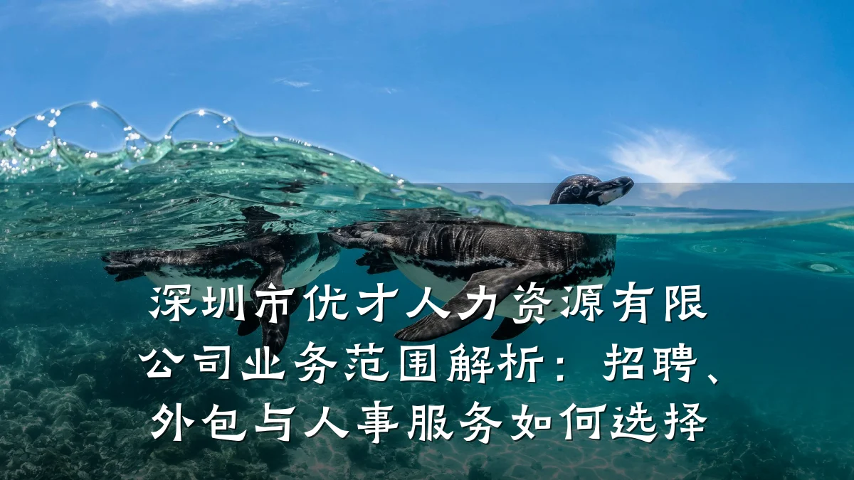 深圳市优才人力资源有限公司业务范围解析:招聘、外包与人事服务如何选择