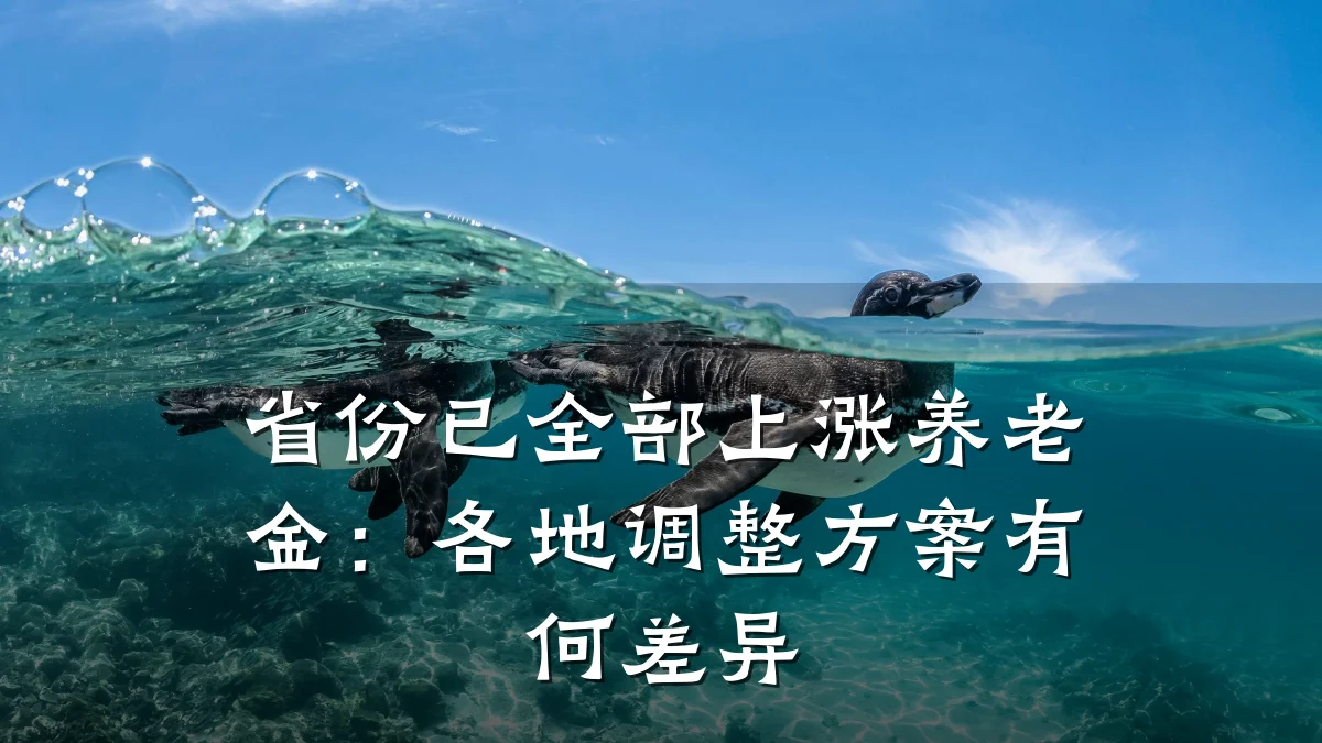 省份已全部上涨养老金:各地调整方案有何差异
