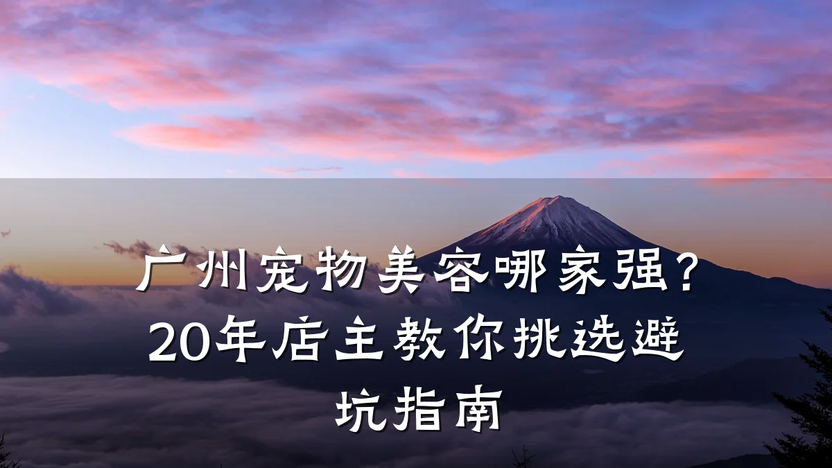 广州宠物美容哪家强？20年店主教你挑选避坑指南