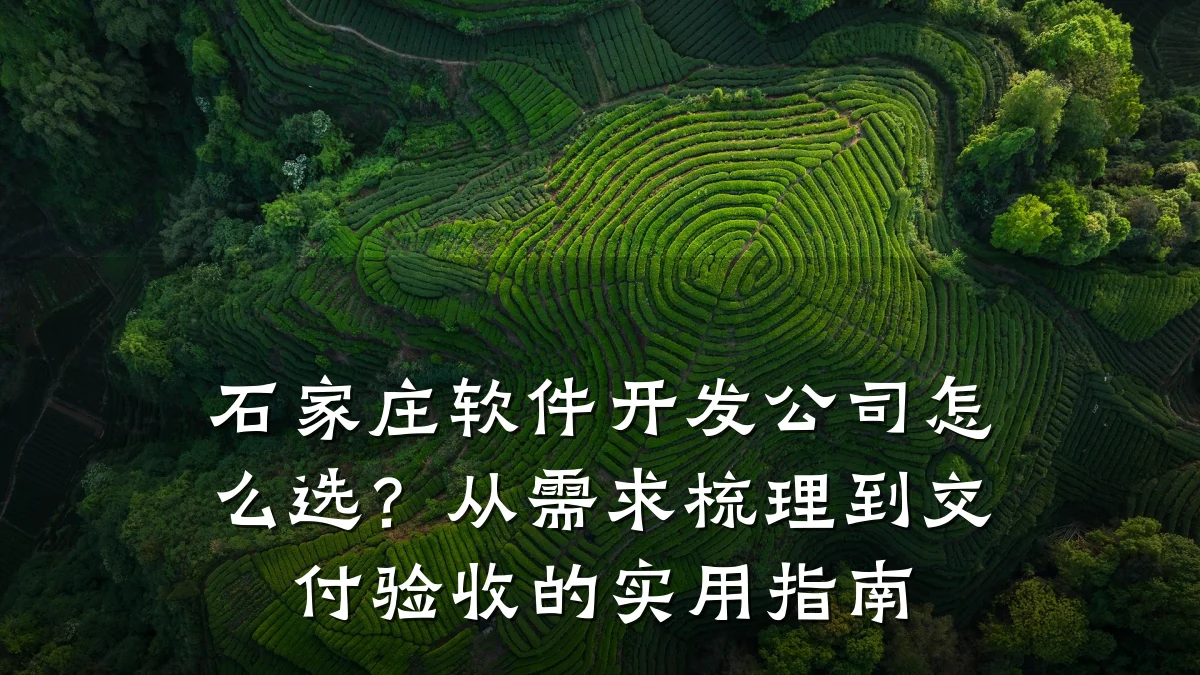石家庄软件开发公司怎么选?从需求梳理到交付验收的实用指南