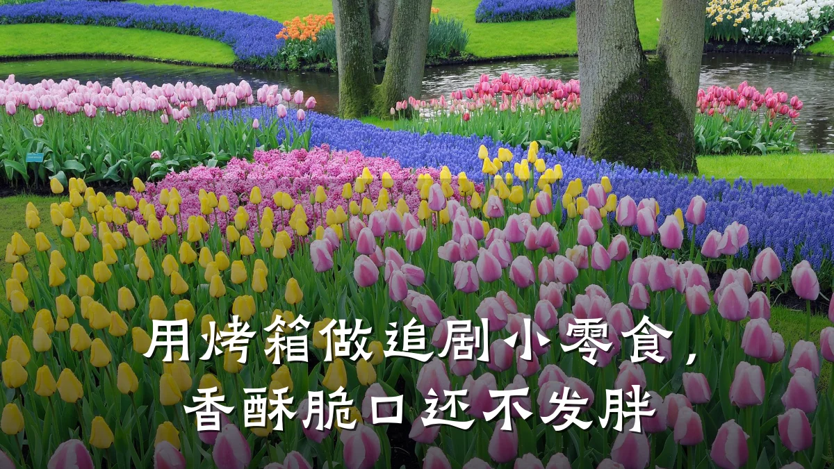 用烤箱做追剧小零食,香酥脆口还不发胖