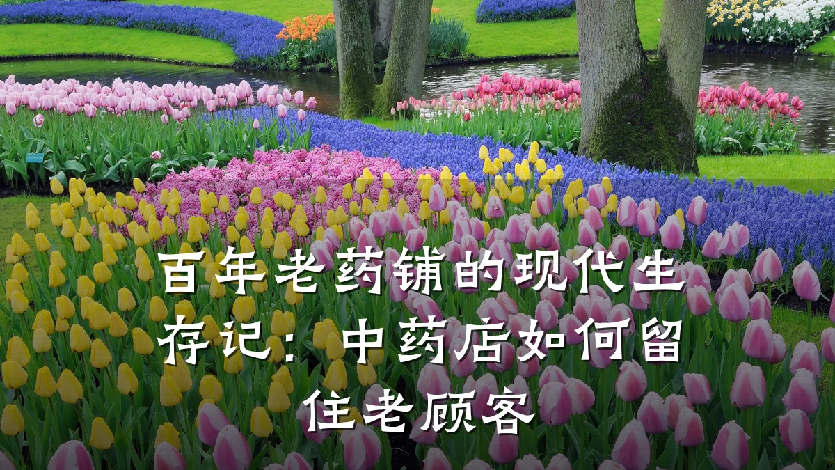 百年老药铺的现代生存记：中药店如何留住老顾客