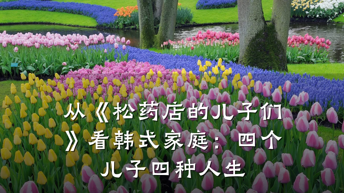 从《松药店的儿子们》看韩式家庭:四个儿子四种人生