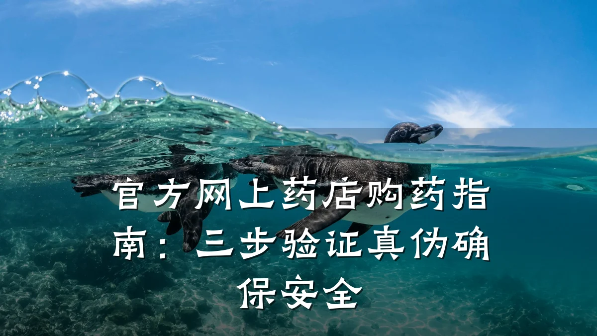 官方网上药店购药指南:三步验证真伪确保安全