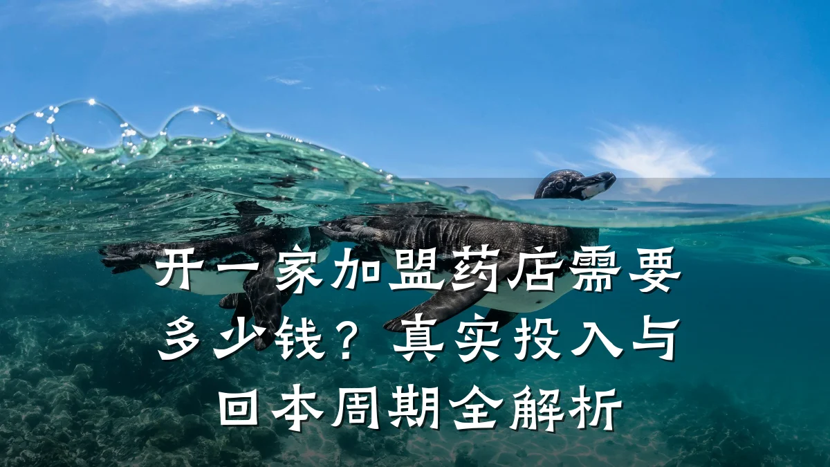 开一家加盟药店需要多少钱?真实投入与回本周期全解析