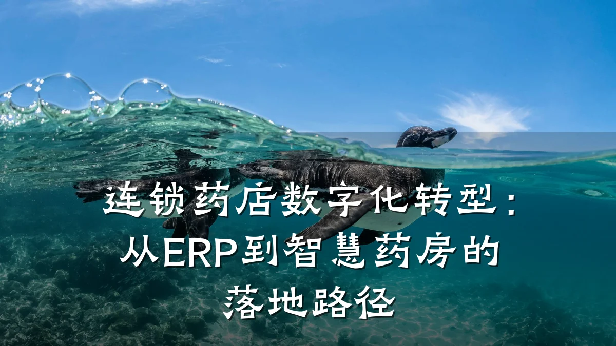 连锁药店数字化转型：从ERP到智慧药房的落地路径