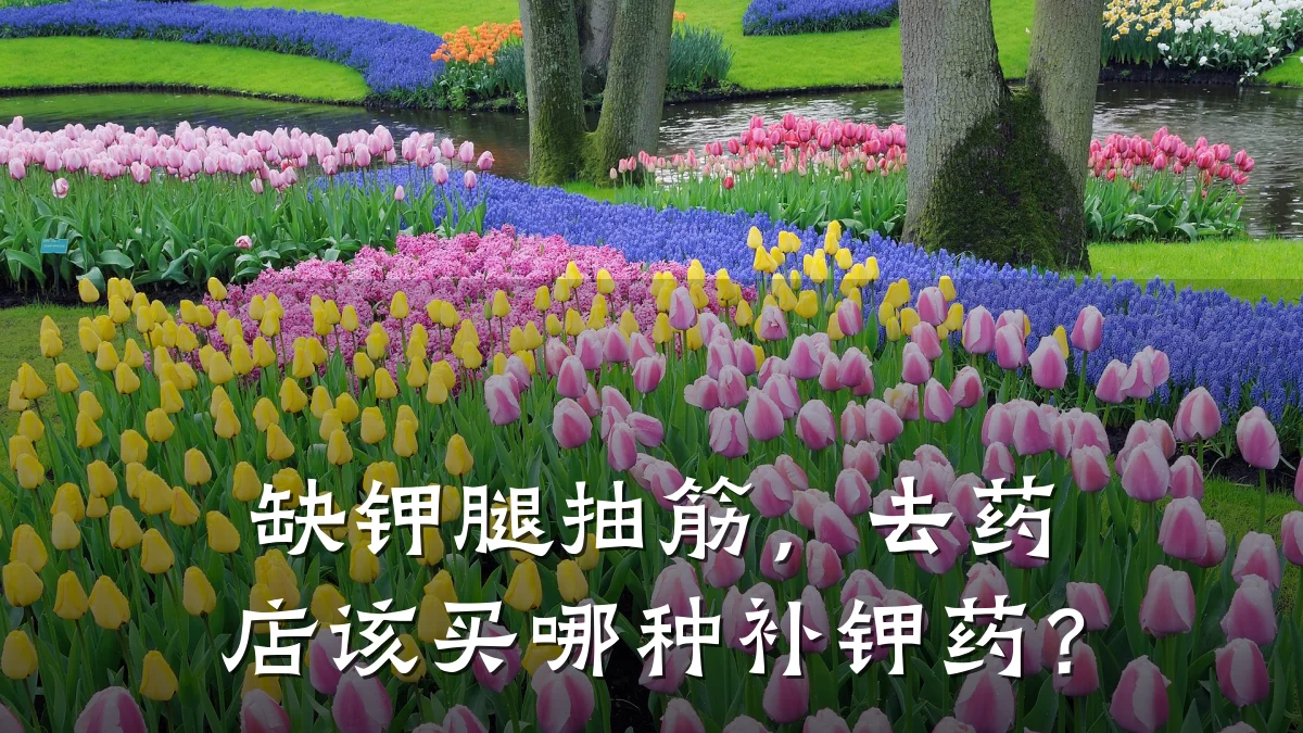 缺钾腿抽筋,去药店该买哪种补钾药?