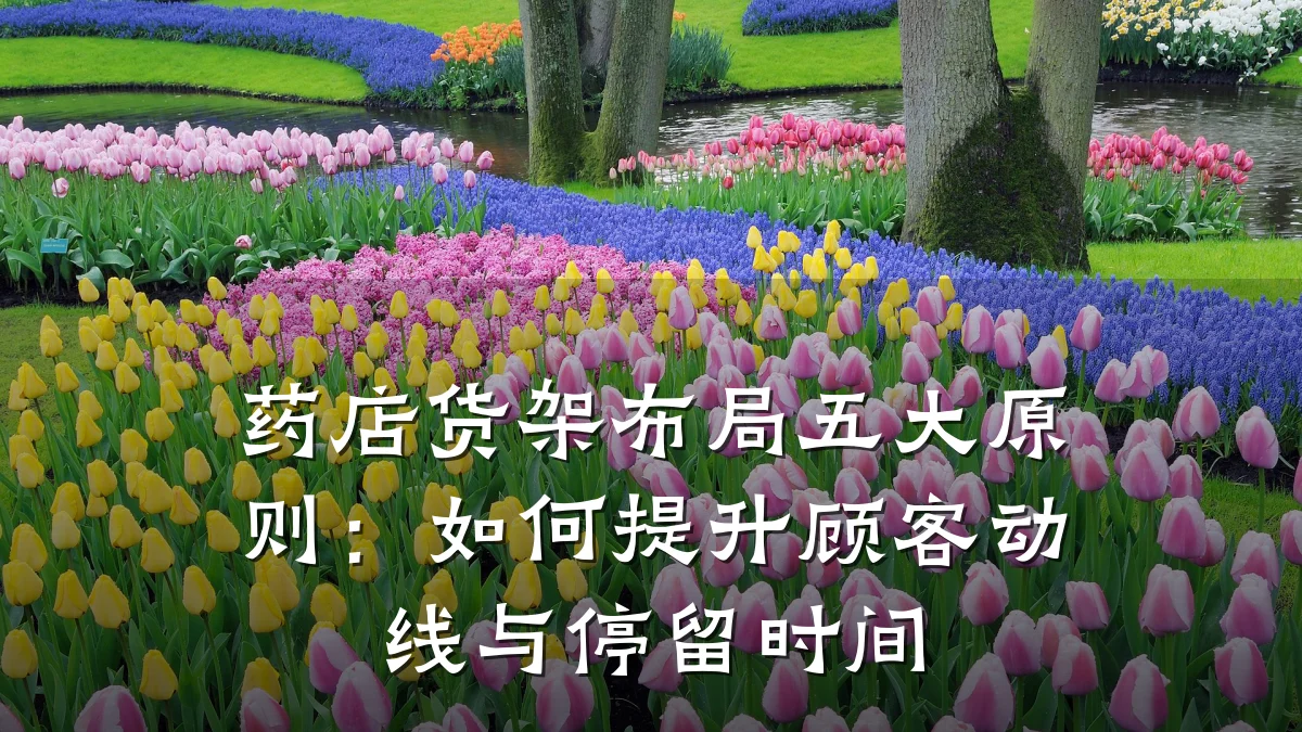 药店货架布局五大原则:如何提升顾客动线与停留时间