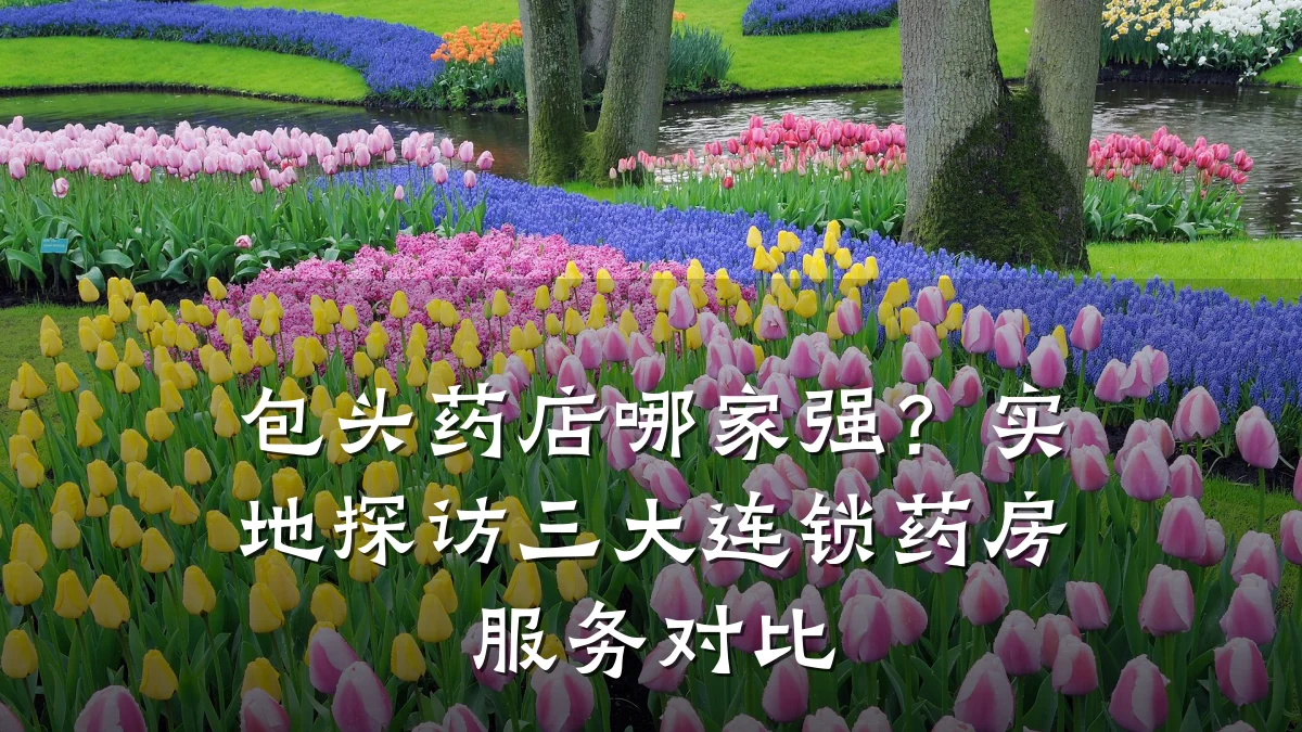 包头药店哪家强?实地探访三大连锁药房服务对比