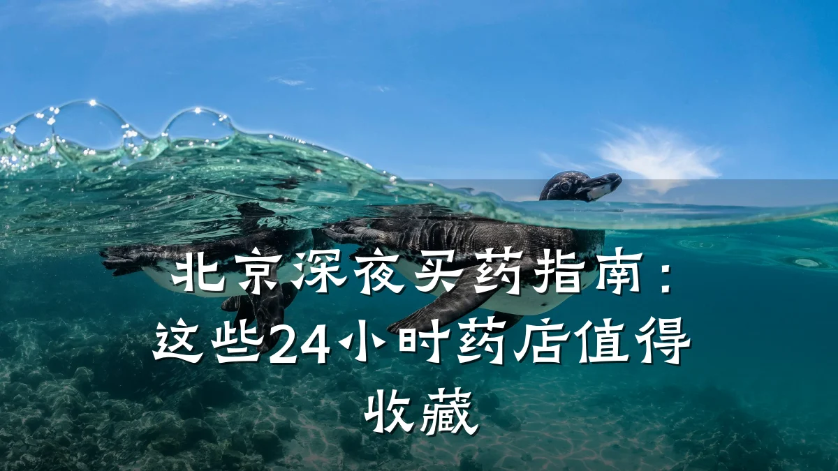 北京深夜买药指南:这些24小时药店值得收藏