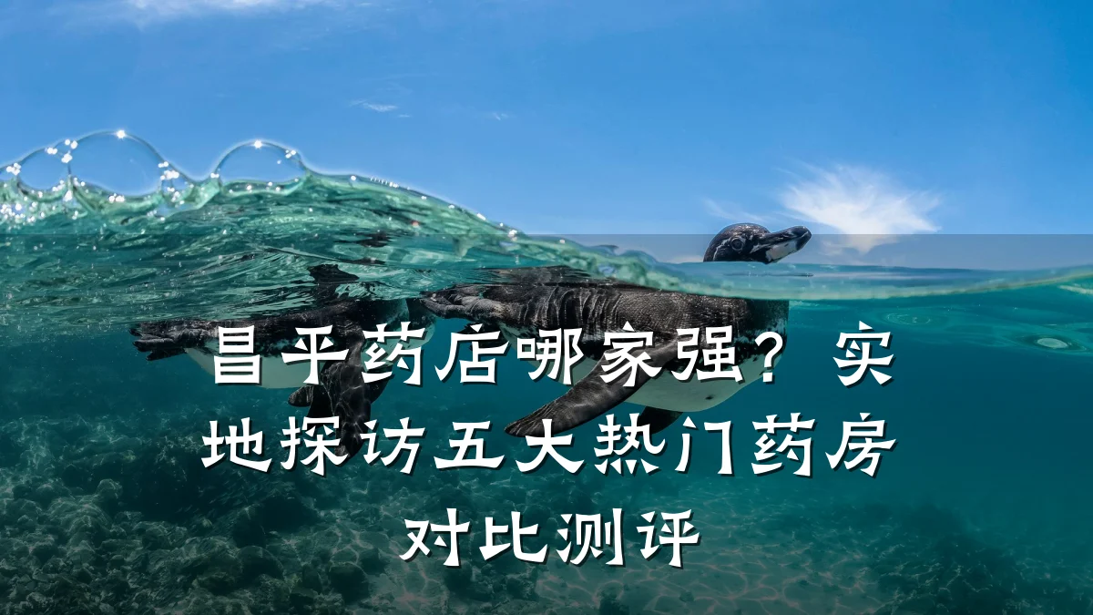 昌平药店哪家强?实地探访五大热门药房对比测评