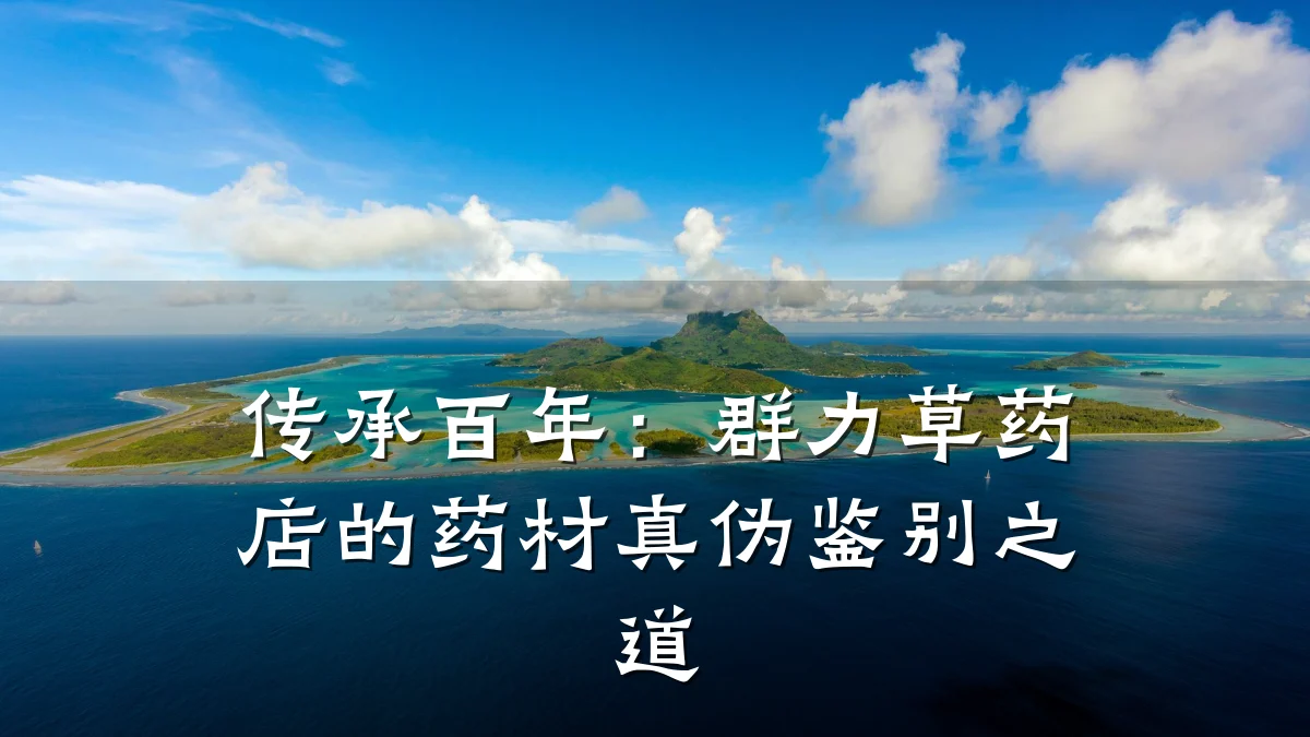 传承百年:群力草药店的药材真伪鉴别之道