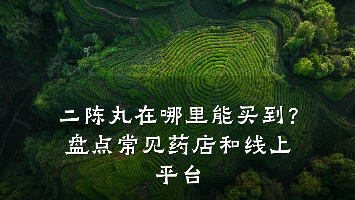 二陈丸在哪里能买到？盘点常见药店和线上平台