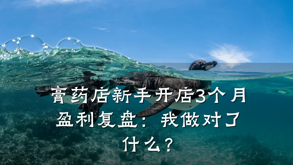 膏药店新手开店3个月盈利复盘:我做对了什么?
