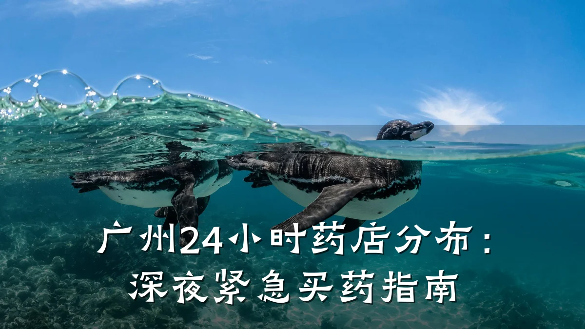 广州24小时药店分布:深夜紧急买药指南