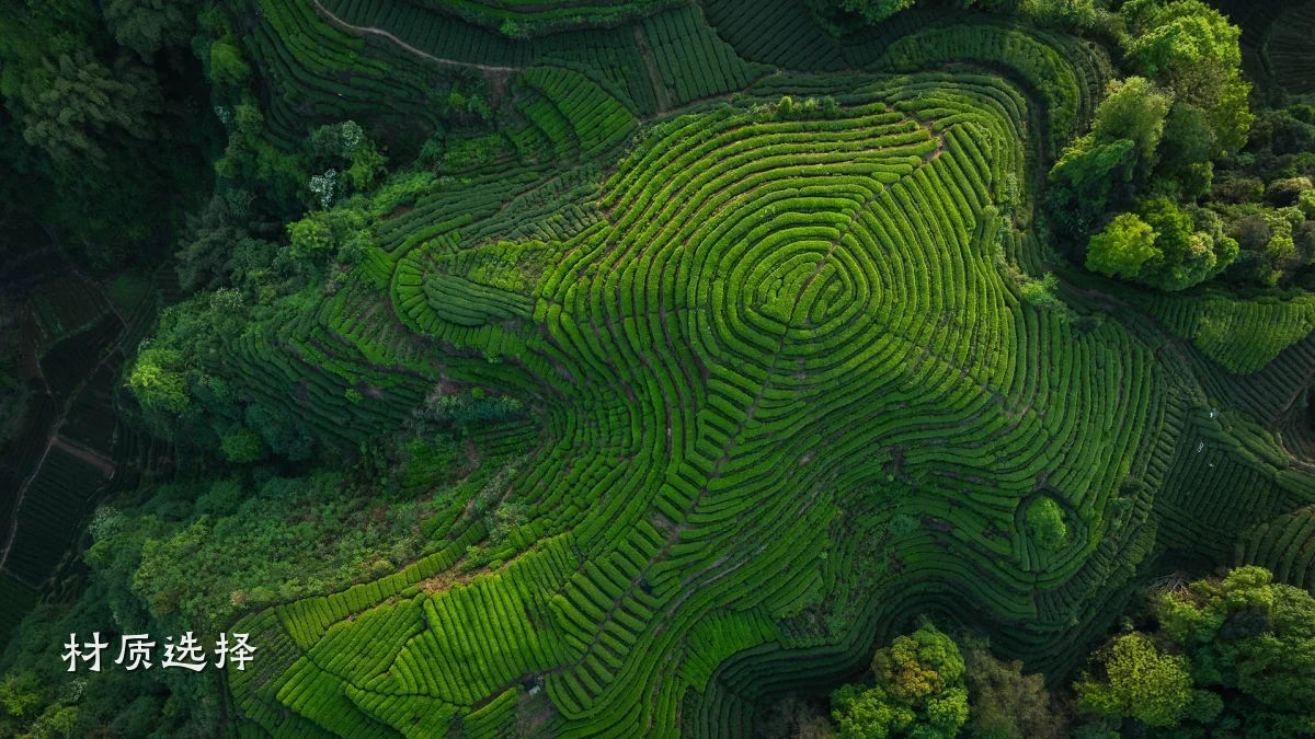 材质选择