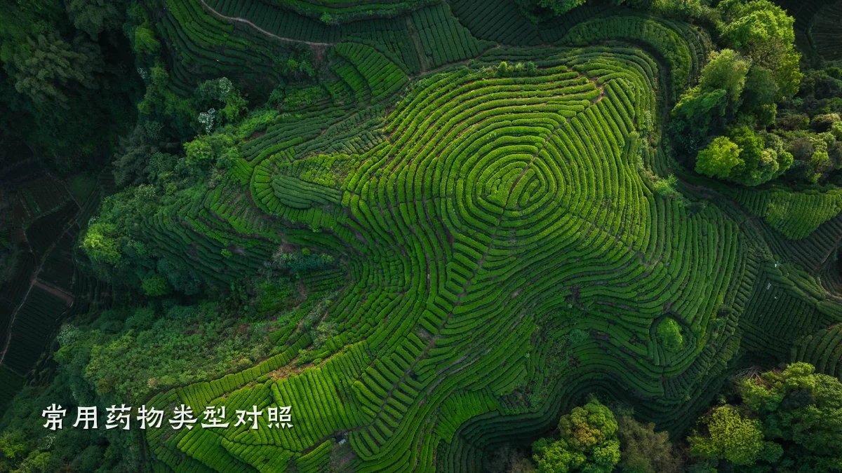 常用药物类型对照