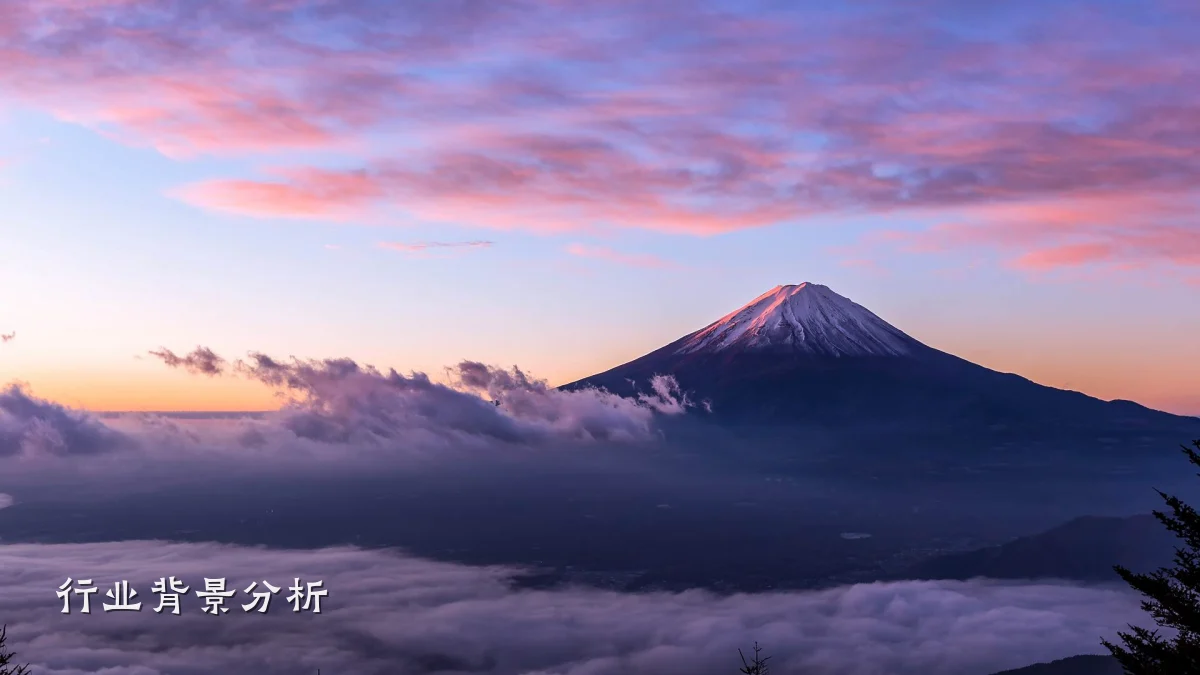 行业背景分析