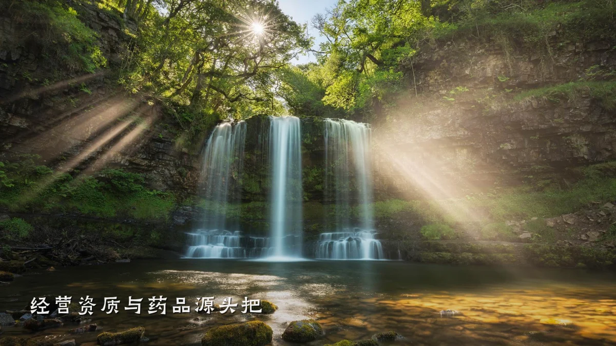 经营资质与药品源头把