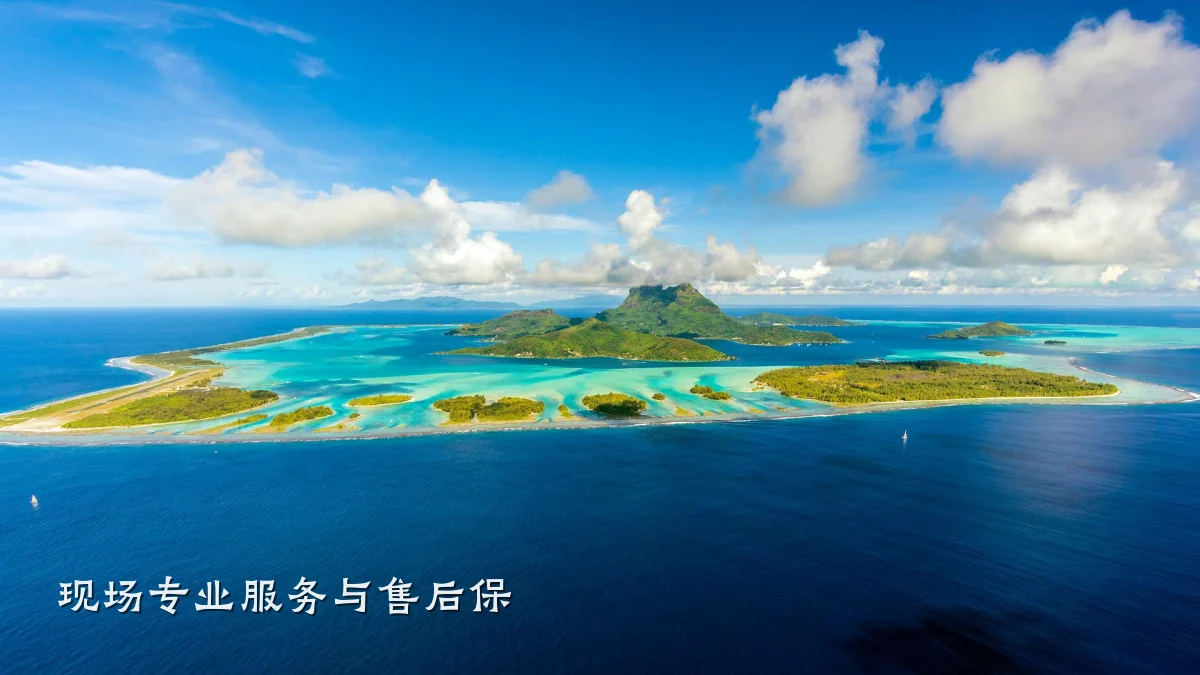 现场专业服务与售后保