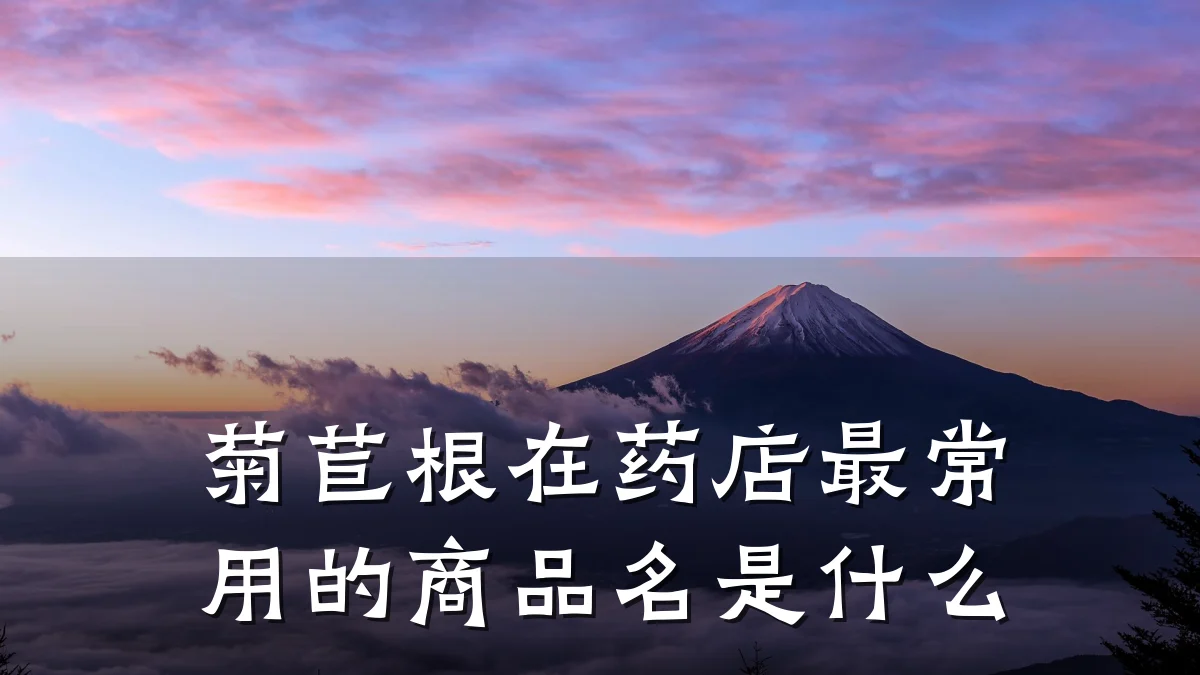 菊苣根在药店最常用的商品名是什么