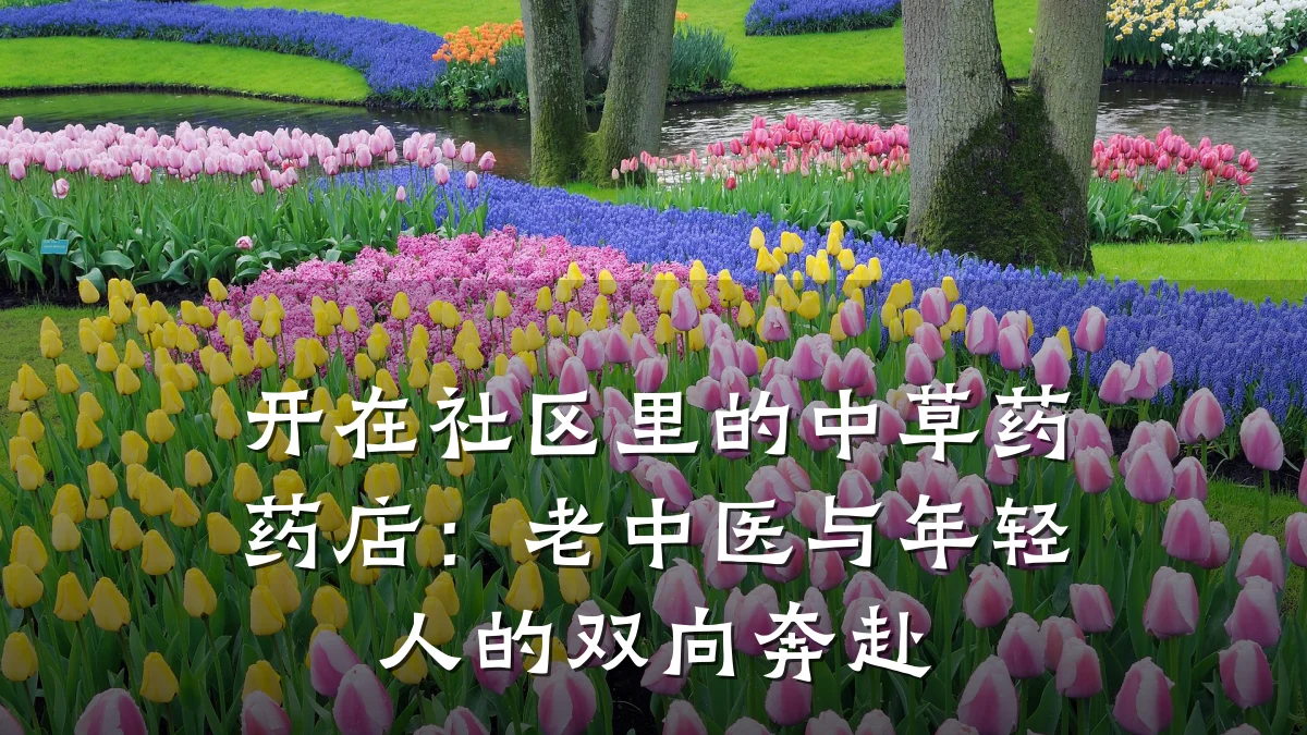开在社区里的中草药药店:老中医与年轻人的双向奔赴