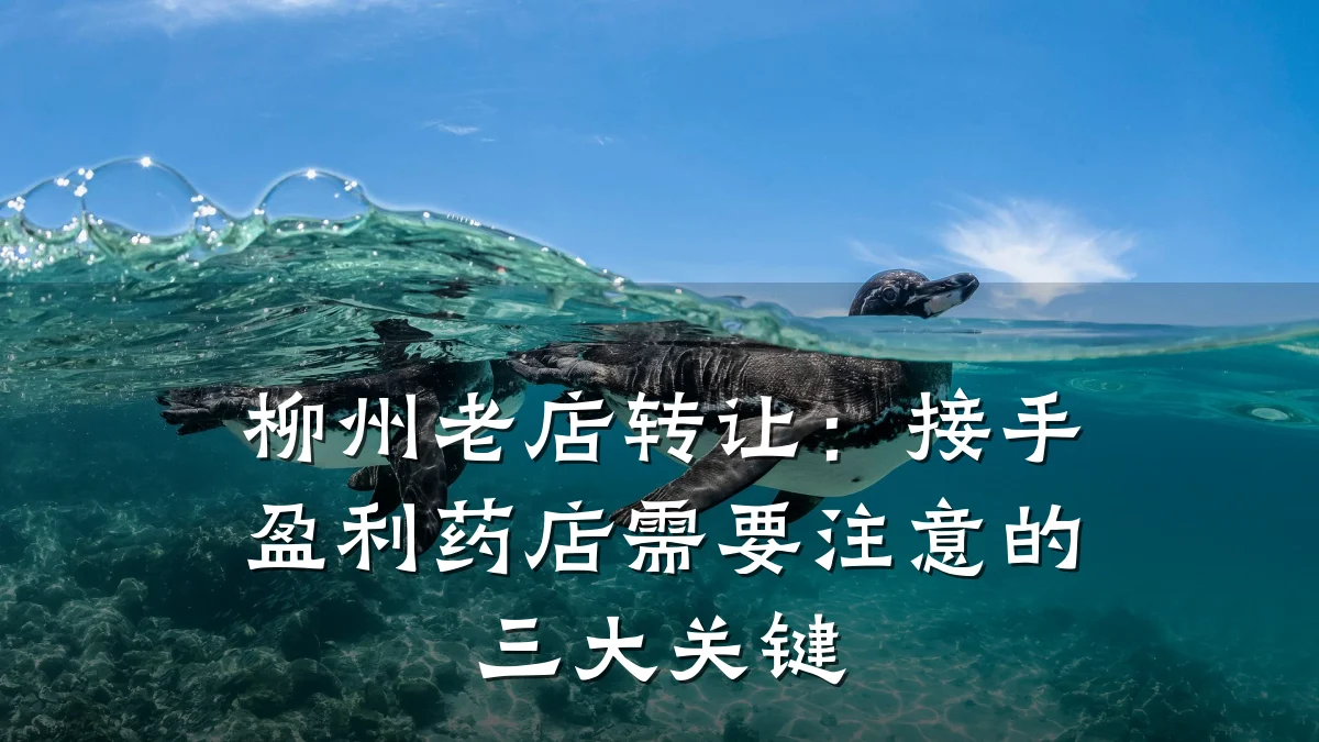 柳州老店转让:接手盈利药店需要注意的三大关键