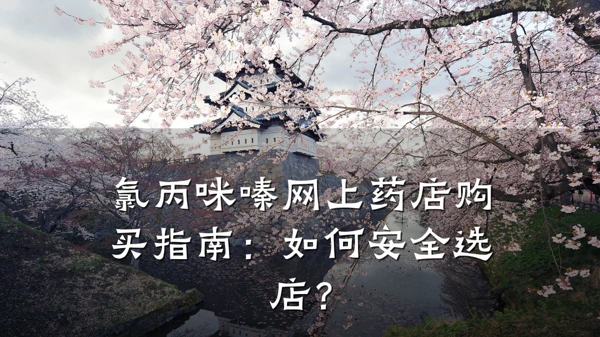 氯丙咪嗪网上药店购买指南:如何安全选店?