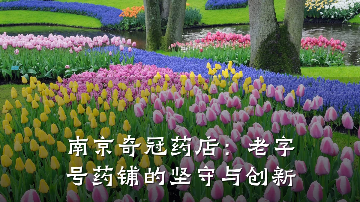 南京奇冠药店:老字号药铺的坚守与创新