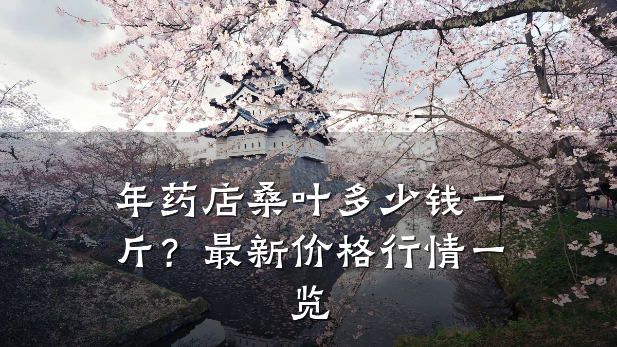 年药店桑叶多少钱一斤?最新价格行情一览