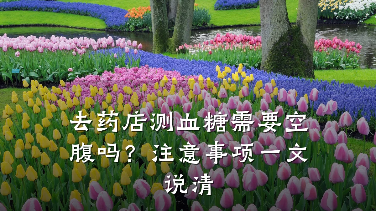 去药店测血糖需要空腹吗?注意事项一文说清