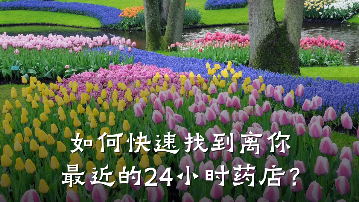 如何快速找到离你最近的24小时药店?
