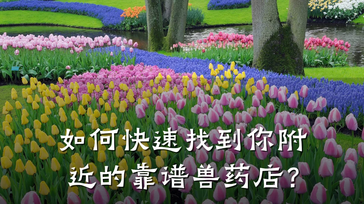 如何快速找到你附近的靠谱兽药店?