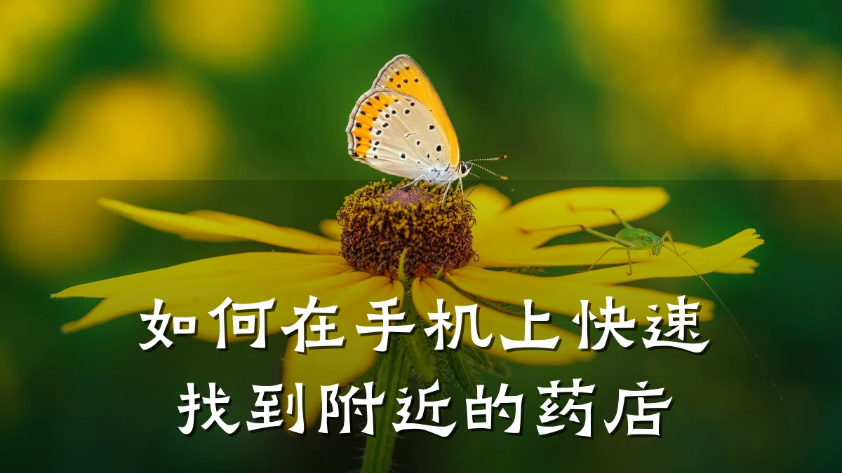 如何在手机上快速找到附近的药店