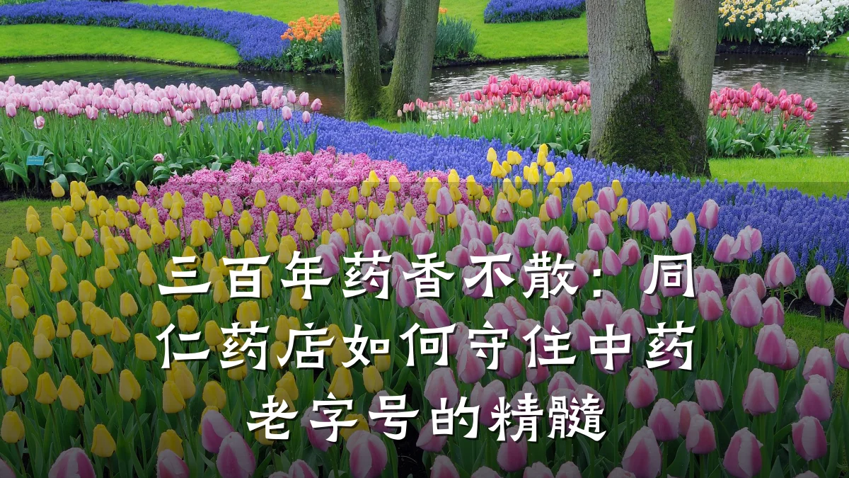 三百年药香不散:同仁药店如何守住中药老字号的精髓