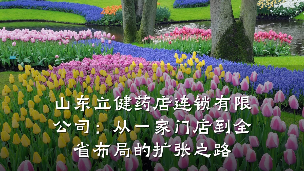 山东立健药店连锁有限公司:从一家门店到全省布局的扩张之路