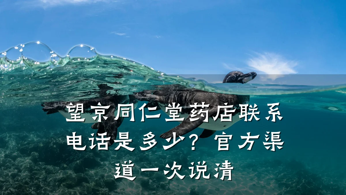 望京同仁堂药店联系电话是多少？官方渠道一次说清