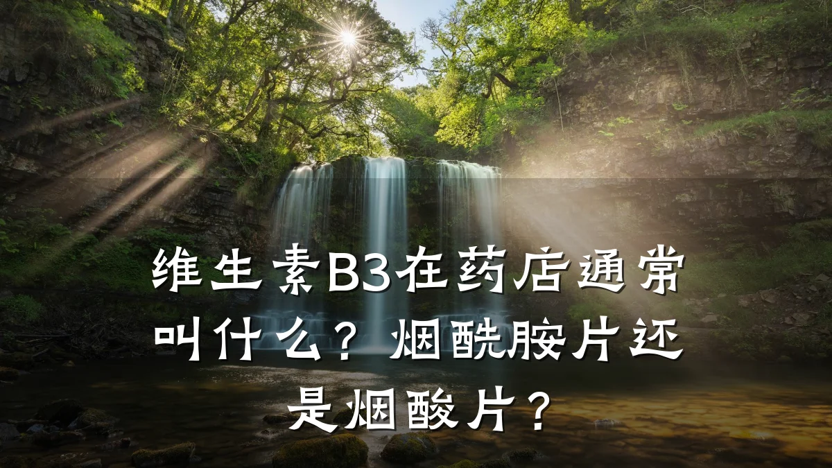 维生素B3在药店通常叫什么?烟酰胺片还是烟酸片?