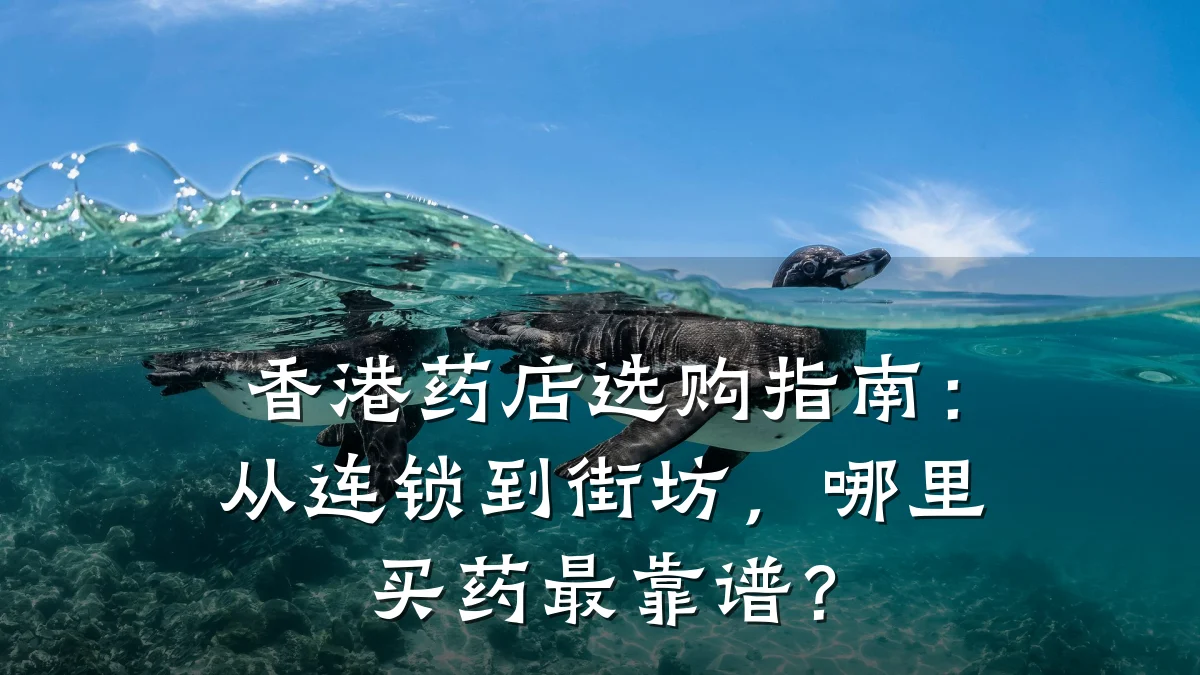 香港药店选购指南:从连锁到街坊,哪里买药最靠谱?