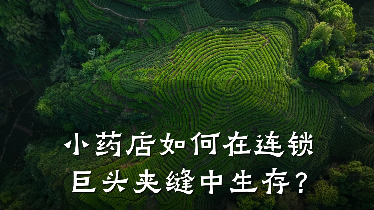 小药店如何在连锁巨头夹缝中生存?