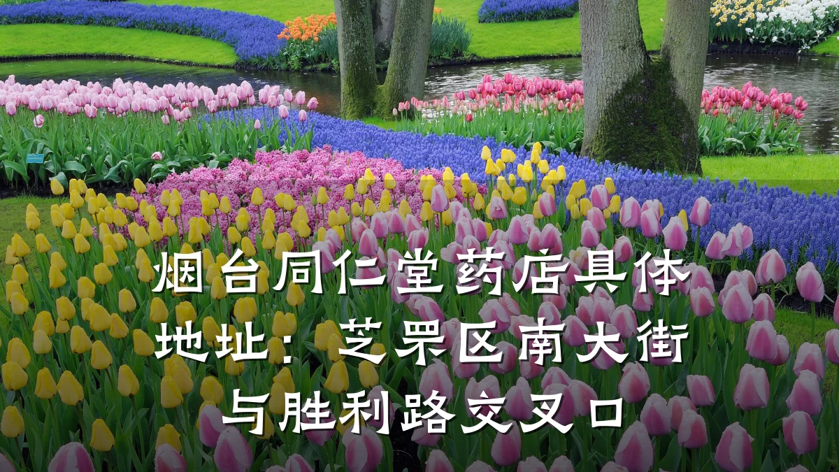 烟台同仁堂药店具体地址:芝罘区南大街与胜利路交叉口