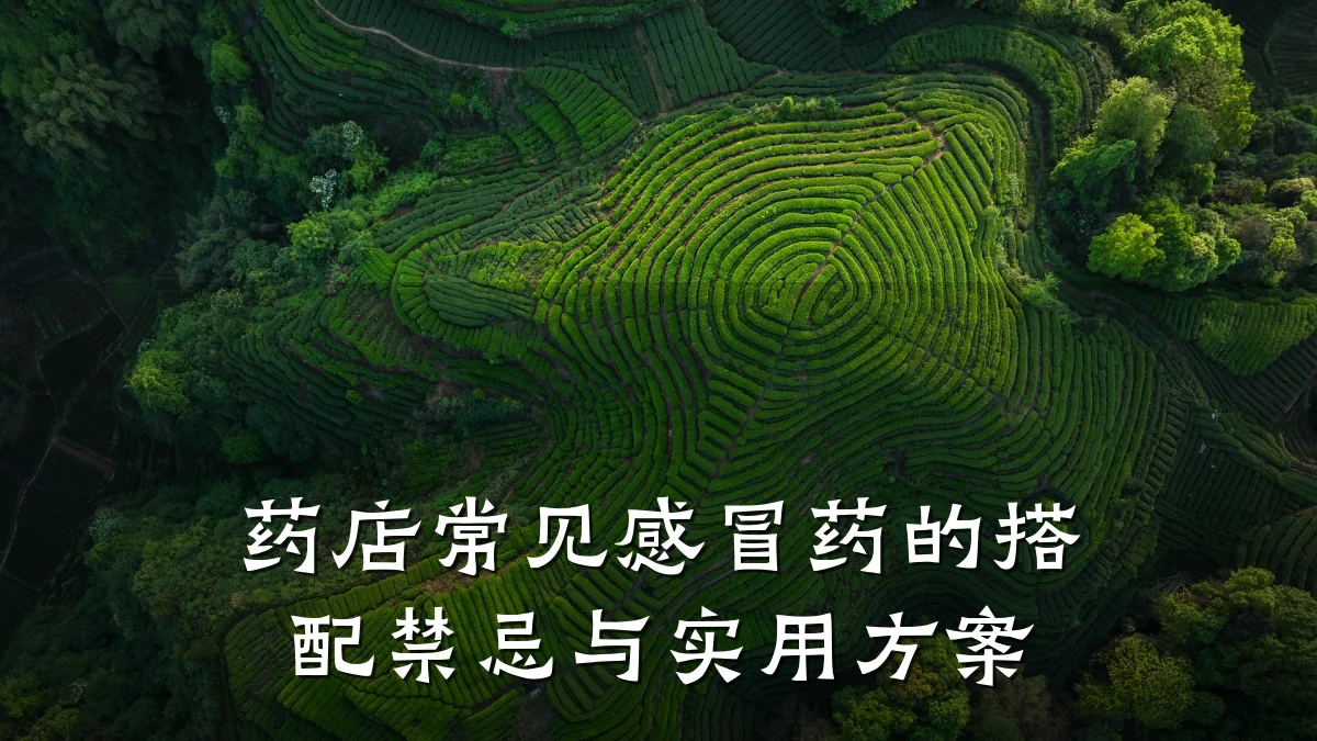 药店常见感冒药的搭配禁忌与实用方案