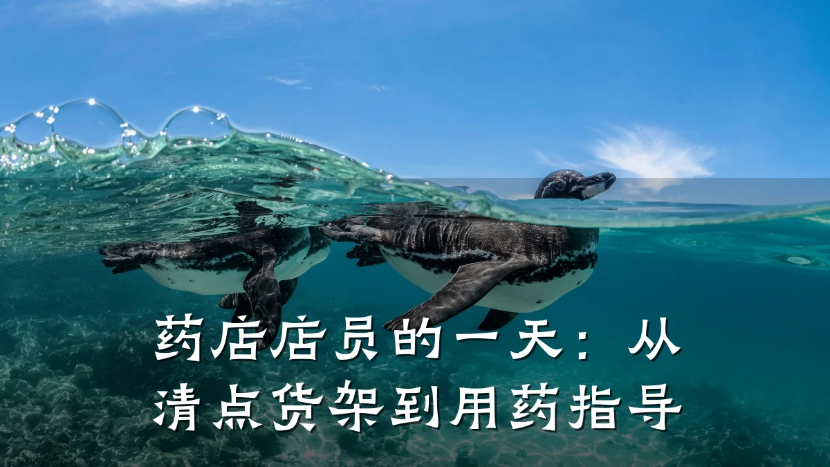 药店店员的一天:从清点货架到用药指导