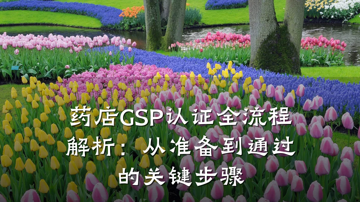 药店GSP认证全流程解析：从准备到通过的关键步骤
