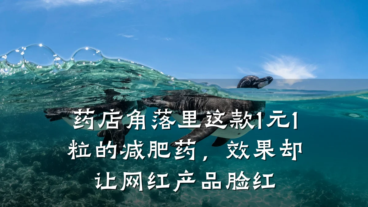 药店角落里这款1元1粒的减肥药,效果却让网红产品脸红